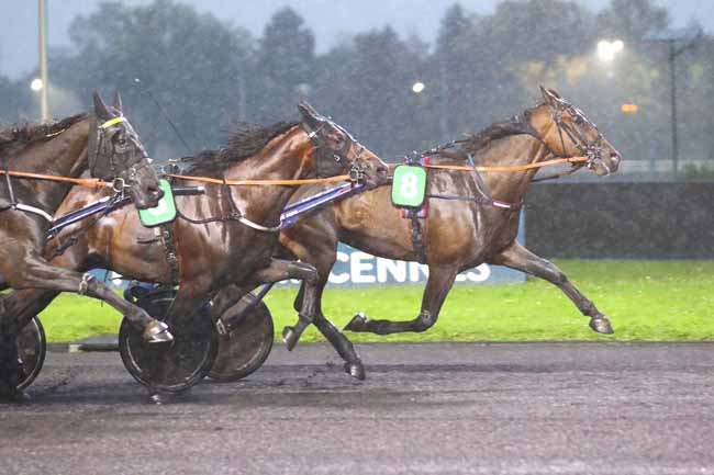 Photo d'arrivée de la course pmu PRIX BIANCA à PARIS-VINCENNES le Mardi 24 septembre 2024