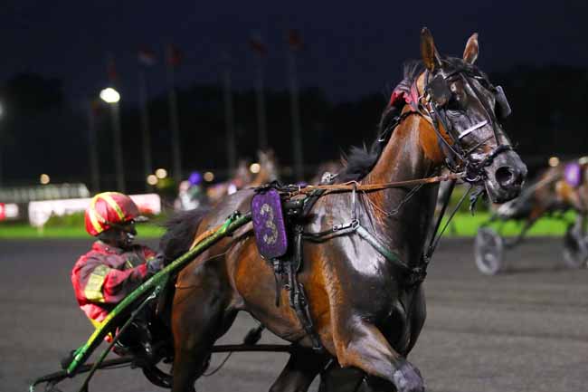 Photo d'arrivée de la course pmu PRIX MYRRHA à PARIS-VINCENNES le Mardi 24 septembre 2024