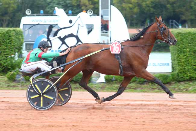 Photo d'arrivée de la course pmu PRIX REGION NORMANDIE - PRIX JEAN-YVES LECUYER à CHERBOURG le Mercredi 25 septembre 2024