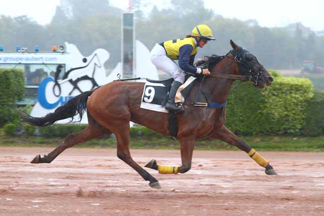 Photo d'arrivée de la course pmu PRIX 