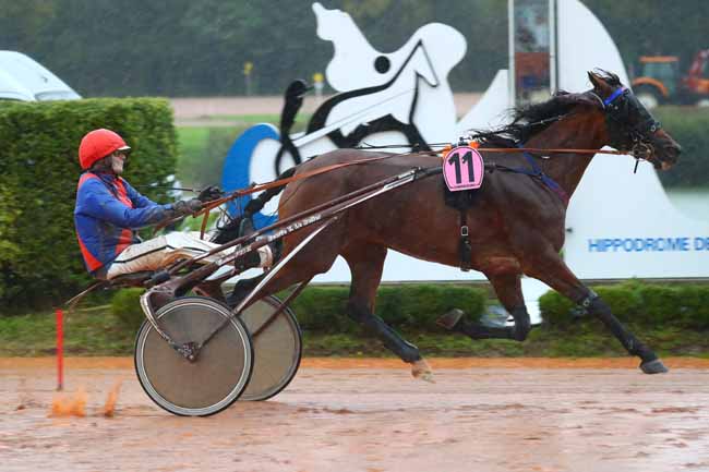 Photo d'arrivée de la course pmu PRIX LA CITE DE LA MER à CHERBOURG le Mercredi 25 septembre 2024