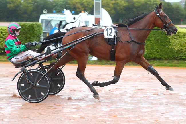 Photo d'arrivée de la course pmu PRIX LE COTENTIN - DEPARTEMENT DE LA MANCHE à CHERBOURG le Mercredi 25 septembre 2024