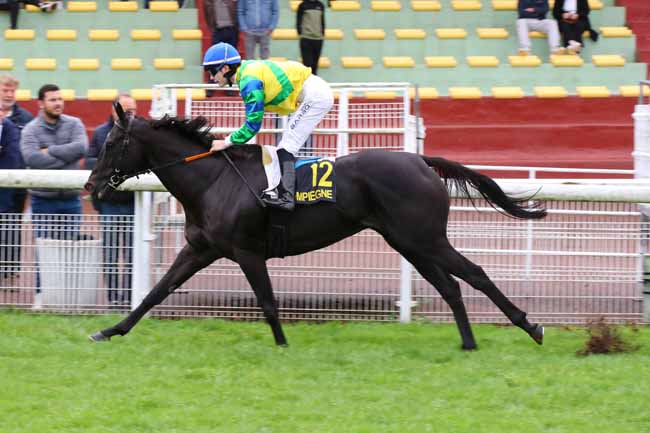 Photo d'arrivée de la course pmu PRIX DE VIGNEMONT à COMPIEGNE le Mercredi 25 septembre 2024