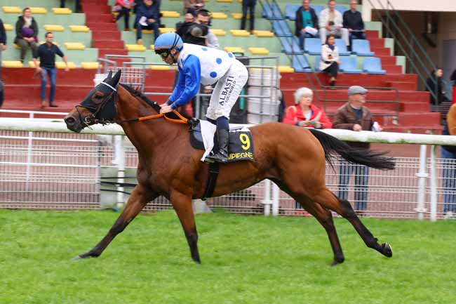 Photo d'arrivée de la course pmu PRIX DE CHOISY-AU-BAC à COMPIEGNE le Mercredi 25 septembre 2024