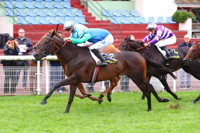 Photo d'arrivée de la course pmu PRIX DE VIEUX MOULIN à COMPIEGNE le Mercredi 25 septembre 2024