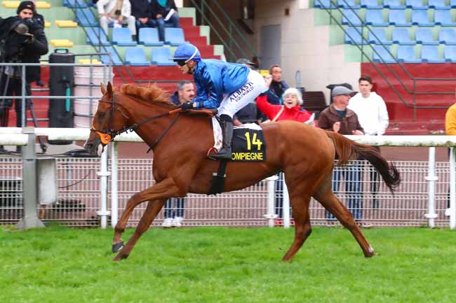 Photo d'arrivée de la course pmu PRIX DES VESTALES à COMPIEGNE le Mercredi 25 septembre 2024