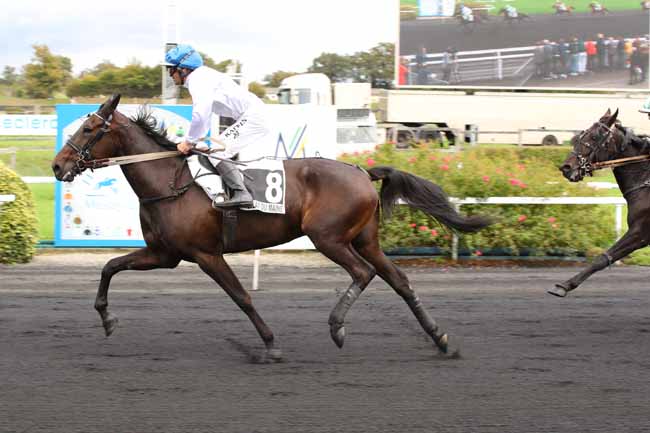 Photo d'arrivée de la course pmu PRIX DU CONSEIL REGIONAL DES PAYS DE LA LOIRE à MESLAY DU MAINE le Mercredi 2 octobre 2024