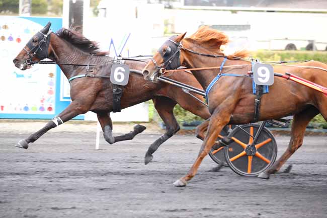 Photo d'arrivée de la course pmu PRIX DE LA VILLE DE MESLAY-DU-MAINE à MESLAY DU MAINE le Mercredi 2 octobre 2024