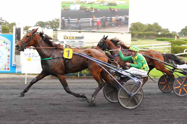 Photo d'arrivée de la course pmu PRIX ROMET à MESLAY DU MAINE le Mercredi 2 octobre 2024