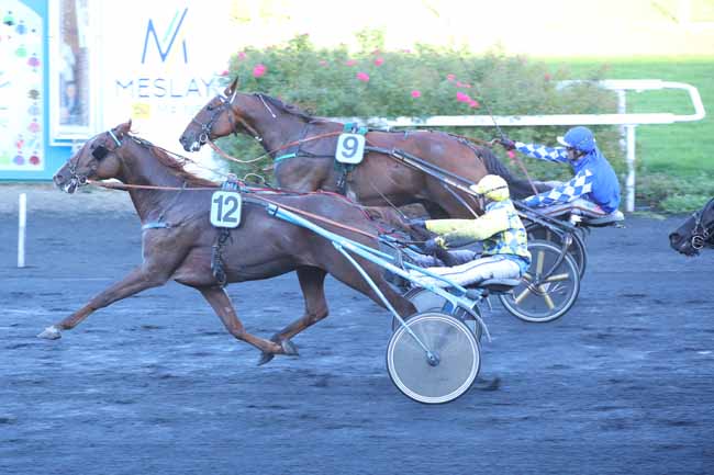 Photo d'arrivée de la course pmu PRIX FITECO à MESLAY DU MAINE le Mercredi 2 octobre 2024