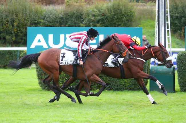 Photo d'arrivée de la course pmu PRIX JULIEN DECRION à AUTEUIL le Mercredi 2 octobre 2024