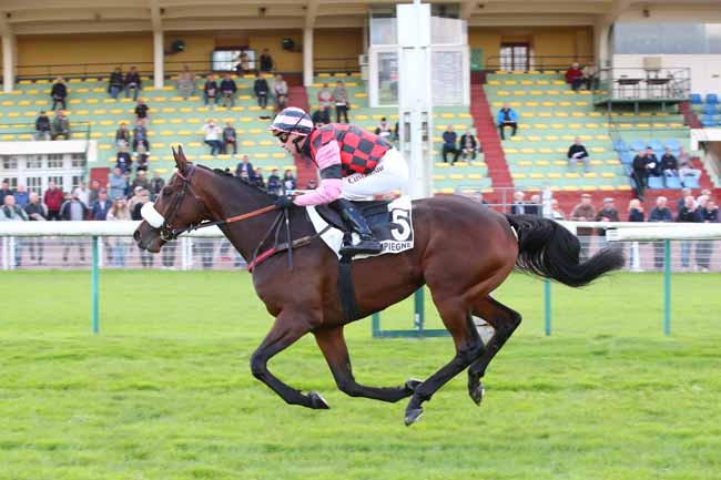 Photo d'arrivée de la course pmu PRIX DE SALERS à COMPIEGNE le Jeudi 3 octobre 2024