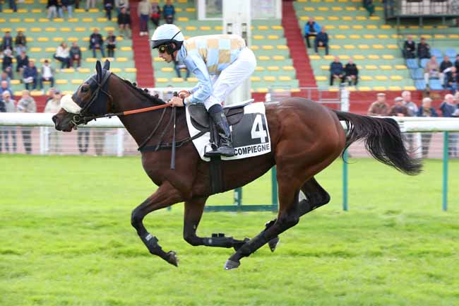 Photo d'arrivée de la course pmu PRIX BUCHEUR à COMPIEGNE le Jeudi 3 octobre 2024