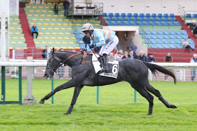 Photo d'arrivée de la course pmu PRIX VERTIGE à COMPIEGNE le Jeudi 3 octobre 2024