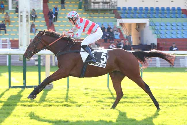 Photo d'arrivée de la course pmu PRIX DE LA GASCOGNE à COMPIEGNE le Jeudi 3 octobre 2024