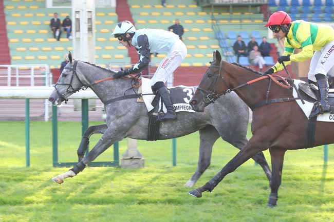 Photo d'arrivée de la course pmu PRIX BAY ARCHER à COMPIEGNE le Jeudi 3 octobre 2024