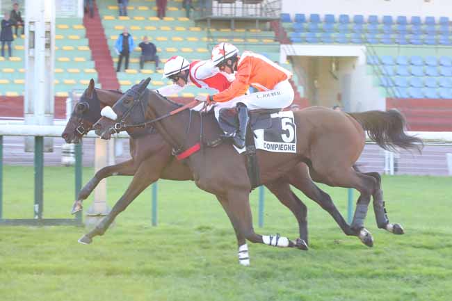 Photo d'arrivée de la course pmu PRIX NORTHERNTOWN à COMPIEGNE le Jeudi 3 octobre 2024