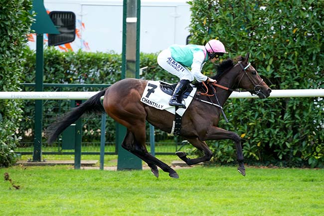 Photo d'arrivée de la course pmu PRIX DU JARDIN ANGLAIS à CHANTILLY le Jeudi 3 octobre 2024