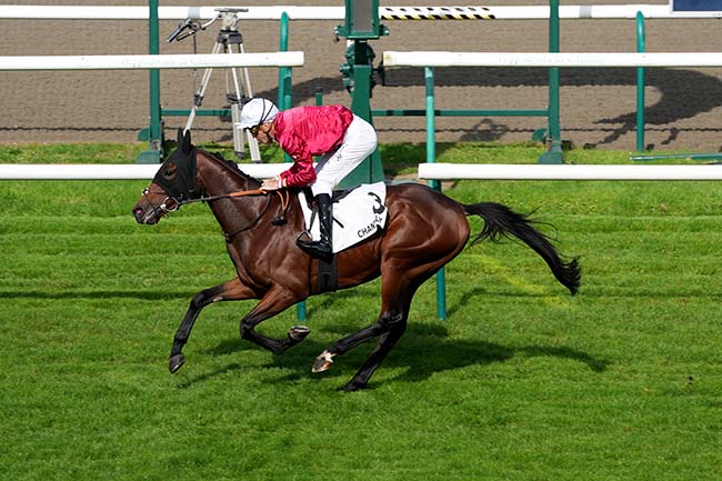 Photo d'arrivée de la course pmu PRIX DU CABINET DES GEMMES à CHANTILLY le Jeudi 3 octobre 2024