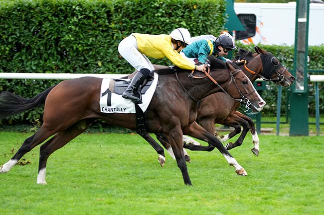 Arrivée quinté pmu PRIX DU BOIS DE LA CHARBONNIERE à CHANTILLY