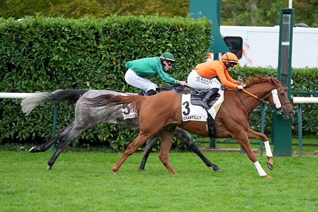 Photo d'arrivée de la course pmu PRIX DU BOIS SAINT-NICOLAS à CHANTILLY le Jeudi 3 octobre 2024