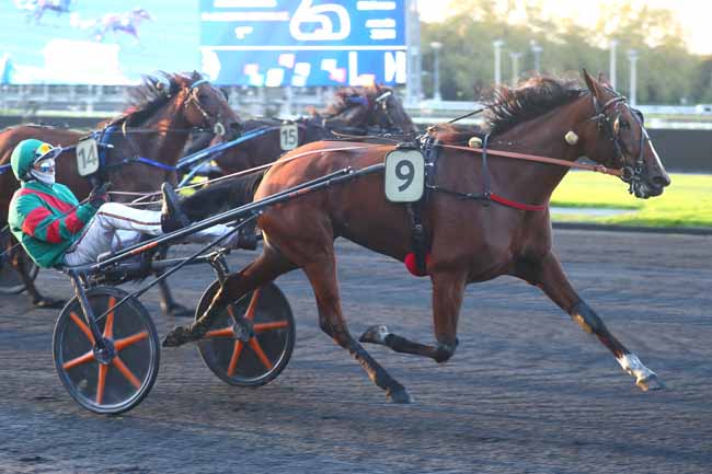 Photo d'arrivée de la course pmu PRIX LUCINA à PARIS-VINCENNES le Vendredi 11 octobre 2024