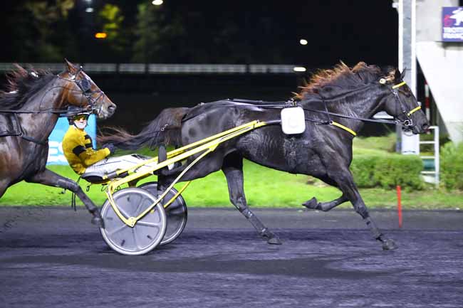 Photo d'arrivée de la course pmu PRIX INGEBORG à PARIS-VINCENNES le Vendredi 11 octobre 2024