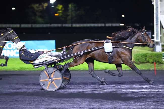 Photo d'arrivée de la course pmu PRIX PAULINA à PARIS-VINCENNES le Vendredi 11 octobre 2024