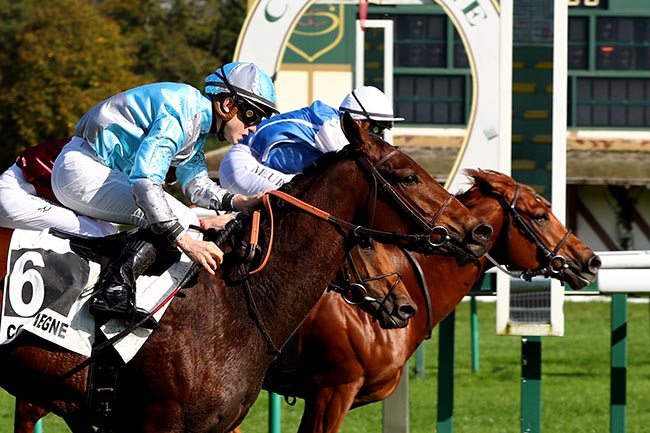 Photo d'arrivée de la course pmu PRIX DE LONGUEIL-ANNEL à COMPIEGNE le Vendredi 11 octobre 2024