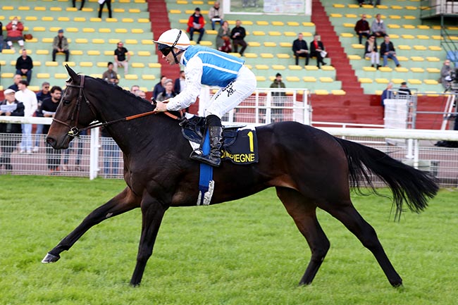 Photo d'arrivée de la course pmu PRIX DES TAMBOURAINES à COMPIEGNE le Vendredi 11 octobre 2024