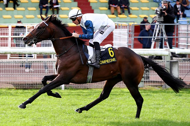 Photo d'arrivée de la course pmu PRIX DU VERMANDOIS à COMPIEGNE le Vendredi 11 octobre 2024