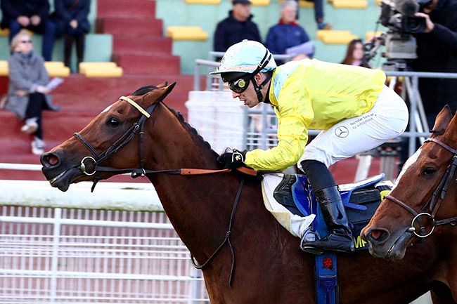 Photo d'arrivée de la course pmu PRIX CHARLES LAFFITTE à COMPIEGNE le Vendredi 11 octobre 2024