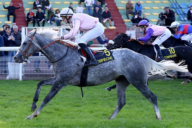 Photo d'arrivée de la course pmu PRIX CARREFOUR DU FRANCPORT à COMPIEGNE le Vendredi 11 octobre 2024