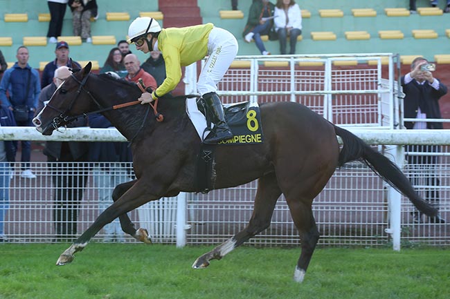 Photo d'arrivée de la course pmu PRIX CARREFOUR DU FOND PERNANT à COMPIEGNE le Vendredi 11 octobre 2024