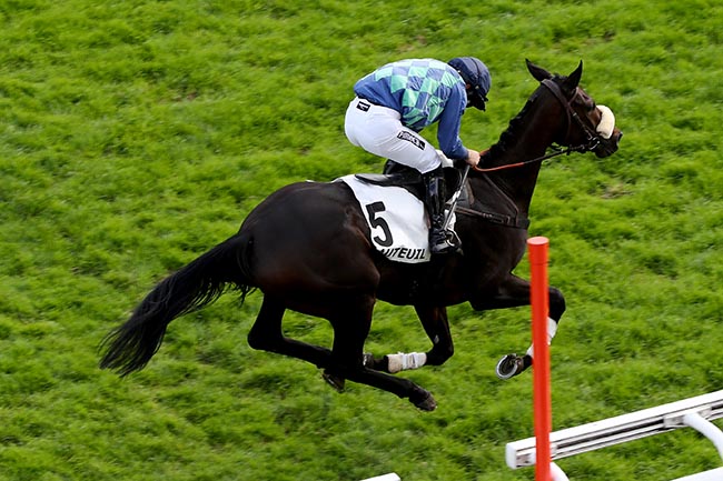 Arrivée quinté pmu PRIX MAGNE à AUTEUIL