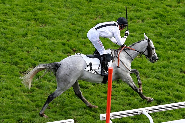 Arrivée quinté pmu PRIX JACK BARBE à AUTEUIL