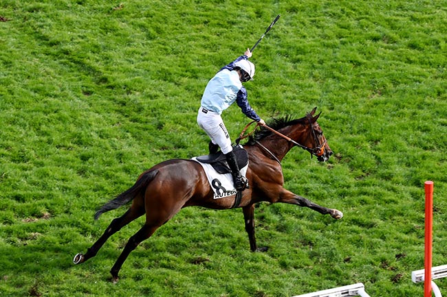 Photo d'arrivée de la course pmu PRIX GEORGES DE TALHOUET-ROY à AUTEUIL le Dimanche 13 octobre 2024