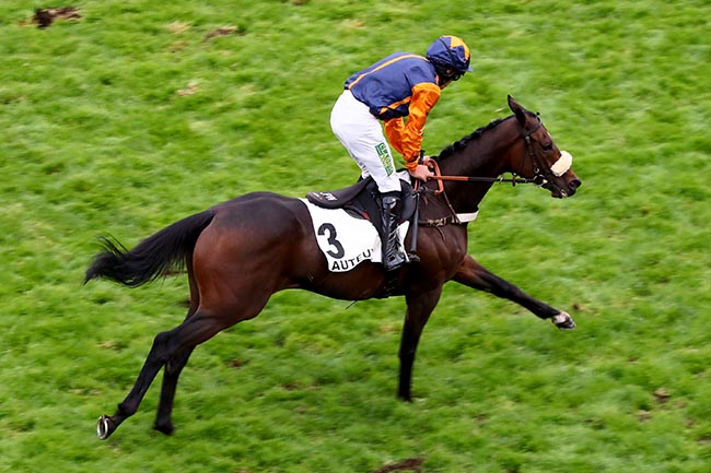 Photo d'arrivée de la course pmu PRIX ADRIEN BESNOUIN à AUTEUIL le Dimanche 13 octobre 2024