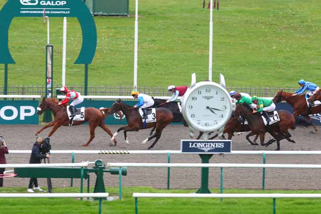 Photo d'arrivée de la course pmu PRIX DU CHENE DES GRES à CHANTILLY le Mardi 15 octobre 2024