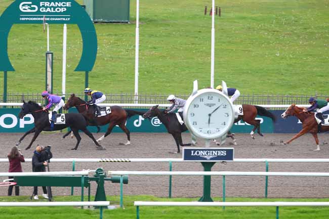 Photo d'arrivée de la course pmu PRIX DU CHENE DE LA BASSE POMMERAIE à CHANTILLY le Mardi 15 octobre 2024