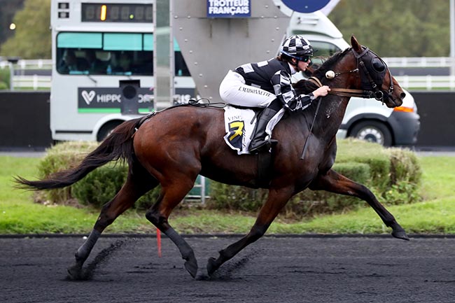 Photo d'arrivée de la course pmu PRIX EUTERPE à PARIS-VINCENNES le Mardi 15 octobre 2024