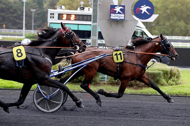 Photo d'arrivée de la course pmu PRIX FREIA à PARIS-VINCENNES le Mardi 15 octobre 2024