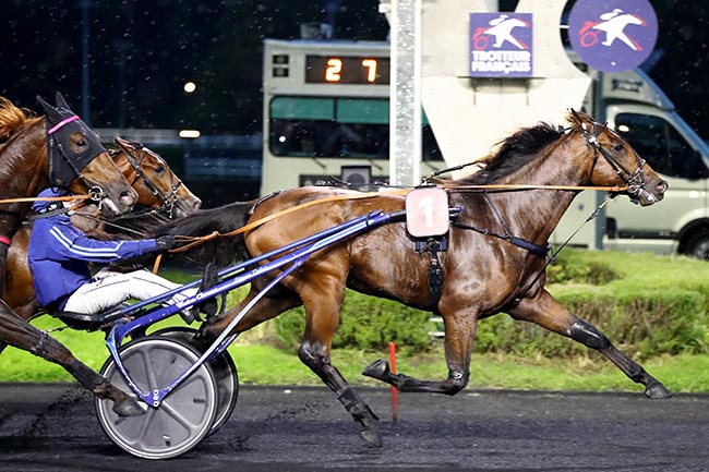 Photo d'arrivée de la course pmu PRIX ARETHUSA à PARIS-VINCENNES le Mardi 15 octobre 2024