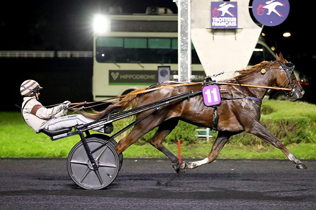 Photo d'arrivée de la course pmu PRIX PRYMNO à PARIS-VINCENNES le Mardi 15 octobre 2024