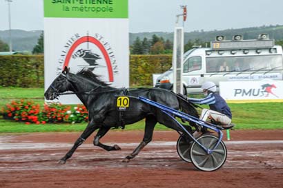 Photo d'arrivée de la course pmu 11EME ETAPE DU GRAND NATIONAL DU TROT à SAINT GALMIER le Mercredi 16 octobre 2024