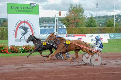 Photo d'arrivée de la course pmu PRIX DU CONSEIL DEPARTEMENTAL DE LA LOIRE à SAINT GALMIER le Mercredi 16 octobre 2024