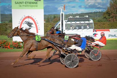 Photo d'arrivée de la course pmu PRIX SAINT-ETIENNE LA METROPOLE à SAINT GALMIER le Mercredi 16 octobre 2024