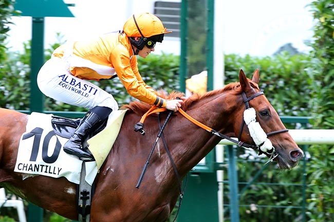 Photo d'arrivée de la course pmu PRIX DE LA VIERGE DE LORETTE à CHANTILLY le Jeudi 17 octobre 2024