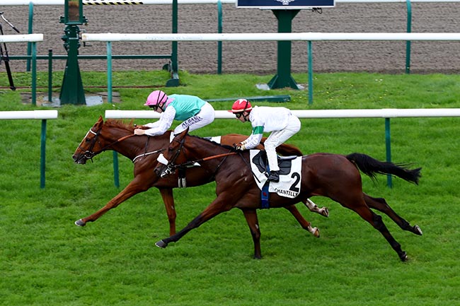 Photo d'arrivée de la course pmu PRIX DE SAUSSAY à CHANTILLY le Jeudi 17 octobre 2024