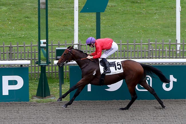 Photo d'arrivée de la course pmu PRIX DE L'ALLEE BRULETTE à CHANTILLY le Jeudi 17 octobre 2024